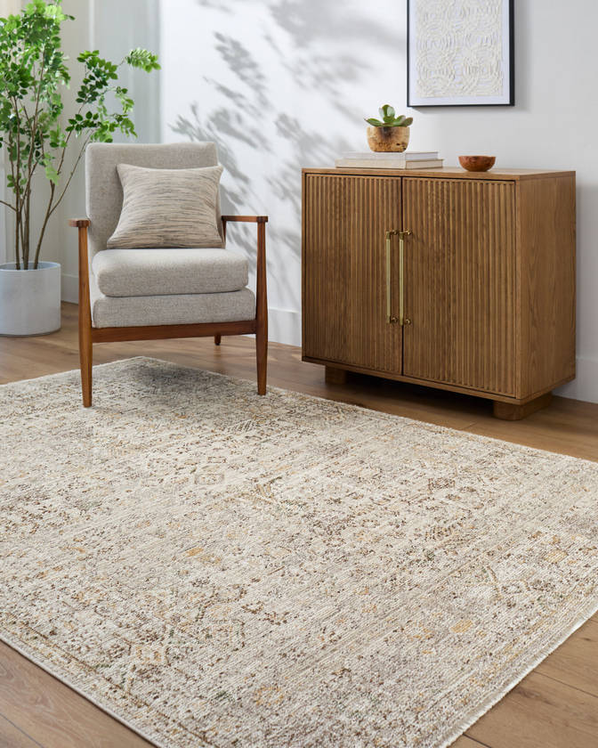 Myrtle Avenue Traditional Taupe/Cream Area Rug - Galey Alix Livabliss
