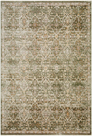 Myrtle Avenue Traditional Olive/Medium Brown Area Rug - Galey Alix Livabliss