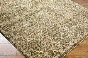 Myrtle Avenue Traditional Olive/Medium Brown Area Rug - Galey Alix Livabliss