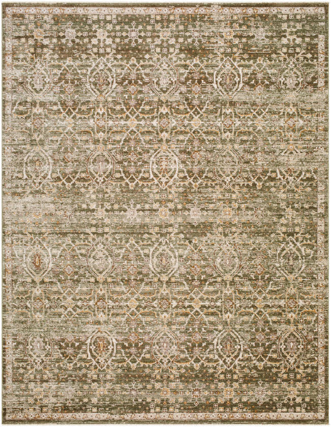 Myrtle Avenue Traditional Olive/Medium Brown Area Rug - Galey Alix Livabliss