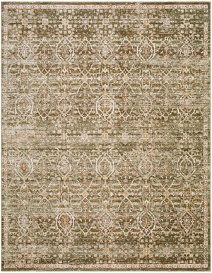 Myrtle Avenue Traditional Olive/Medium Brown Area Rug - Galey Alix Livabliss