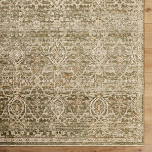 Myrtle Avenue Traditional Olive/Medium Brown Area Rug - Galey Alix Livabliss