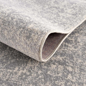 Peeta Gray Medallion Area Rug