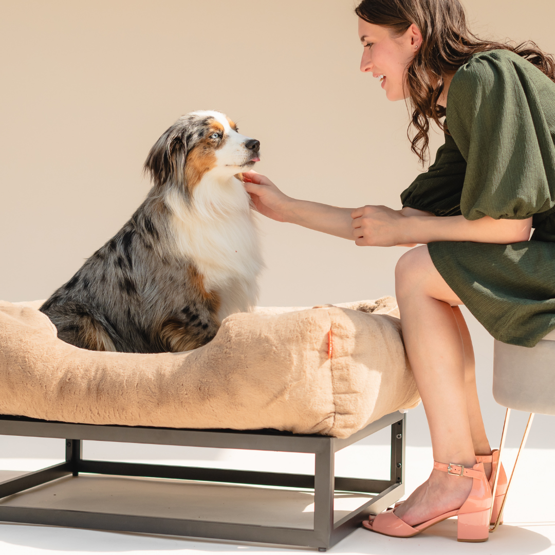 The FÜZI Elevated Dog Bed