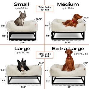 The FÜZI Elevated Dog Bed