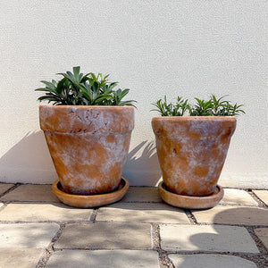 Venice Cement Planter with Dish and Drainage Hole, Handcrafted in Aged Terracotta, Large & Medium