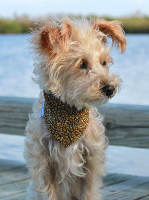 FLORAL BANDANA