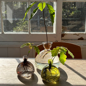 Acorn Vase
