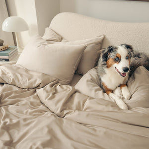 Organic Bamboo Sateen Bed Sheet Set