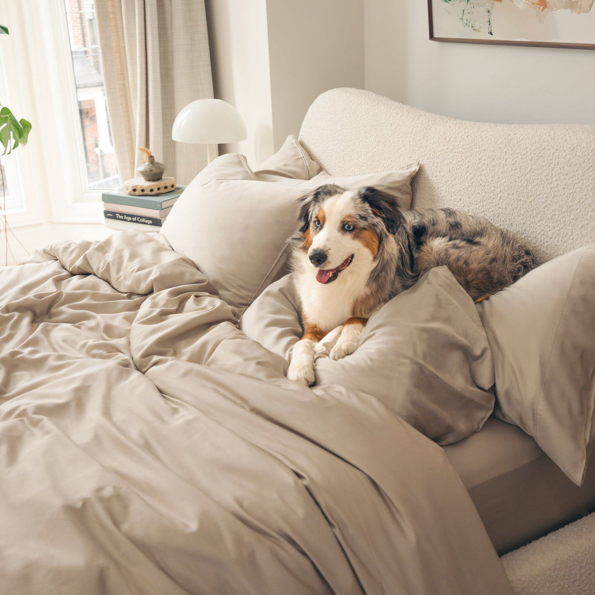 Organic Bamboo Sateen Fitted Sheet