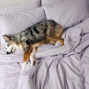 Organic Bamboo Sateen Bed Sheet Set