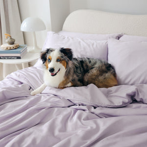 Organic Bamboo Sateen Duvet Cover Set