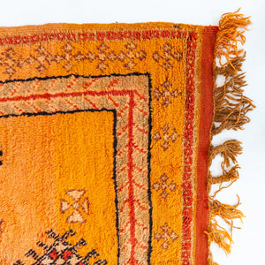 Kamala Moroccan Taznakht Rug | 5’1” x 9’7”