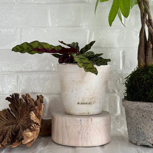 Round Pedestal Wood Base