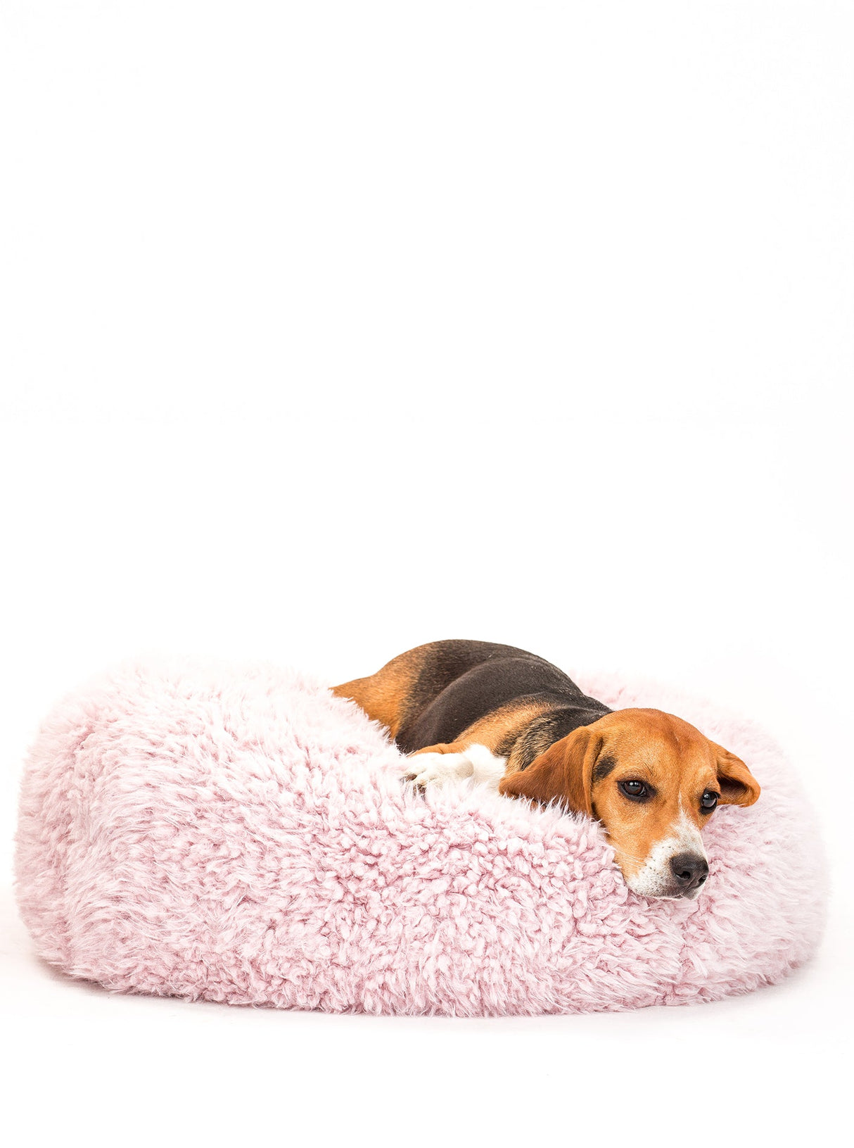 POD DOG BED