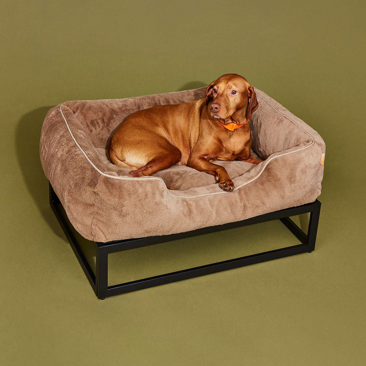 The FÜZI Elevated Dog Bed