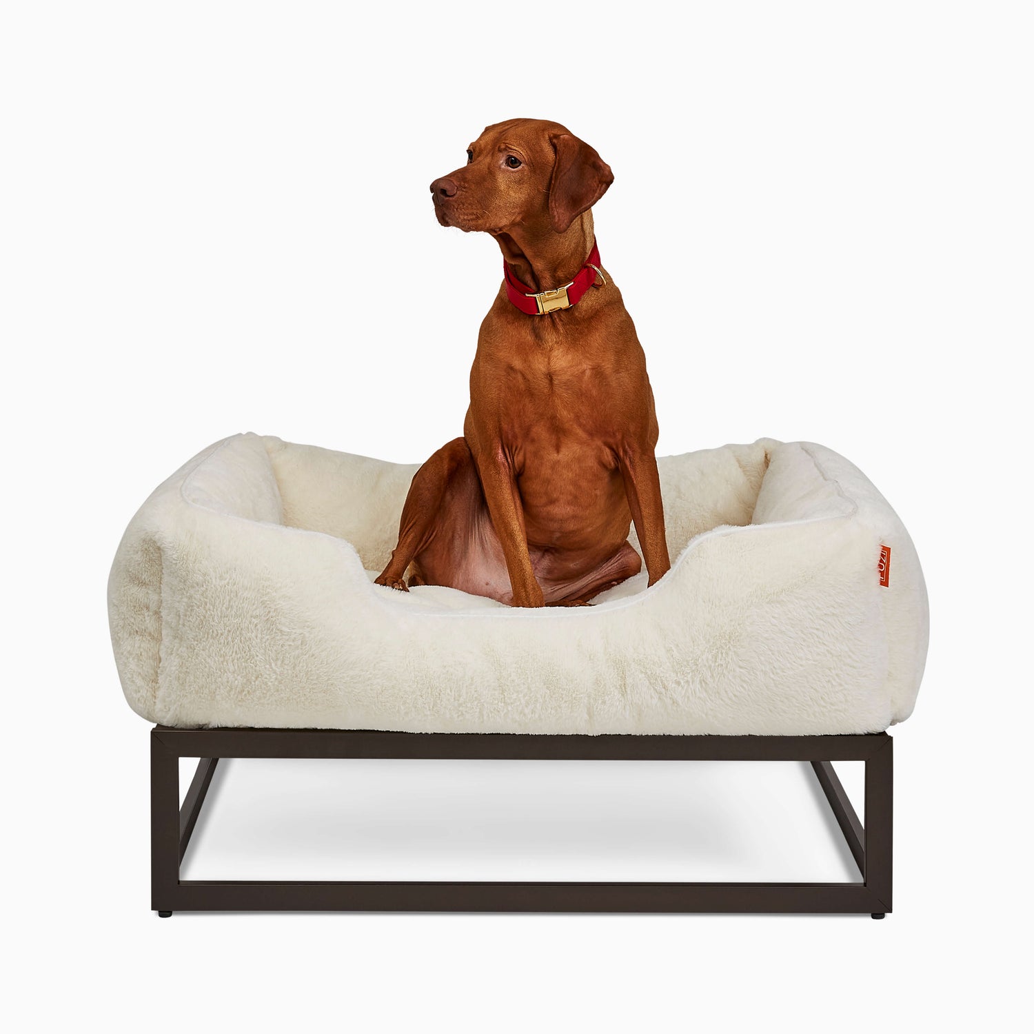 The FÜZI Elevated Dog Bed