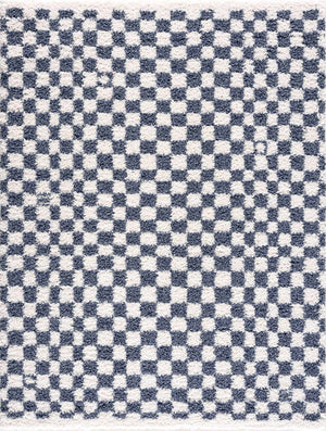 Kieu Blue & White Checkered Area Rug