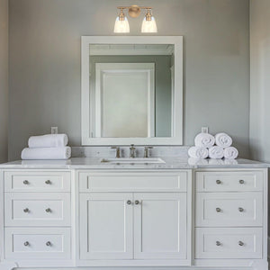Brilliance Modern Farmhouse 2-Light Vanity Light