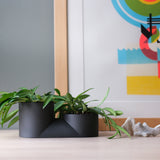 Double Planter