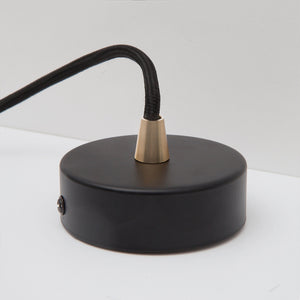 Oval Dim-to-Warm Pendant Light in Walnut