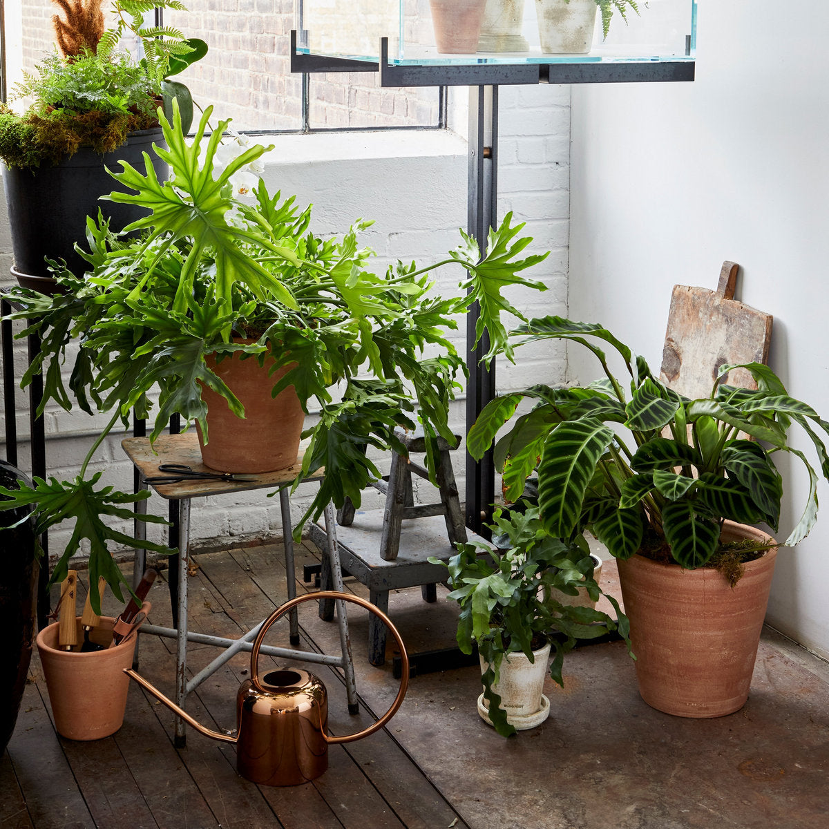 Whitewash Terracotta Studio Planter