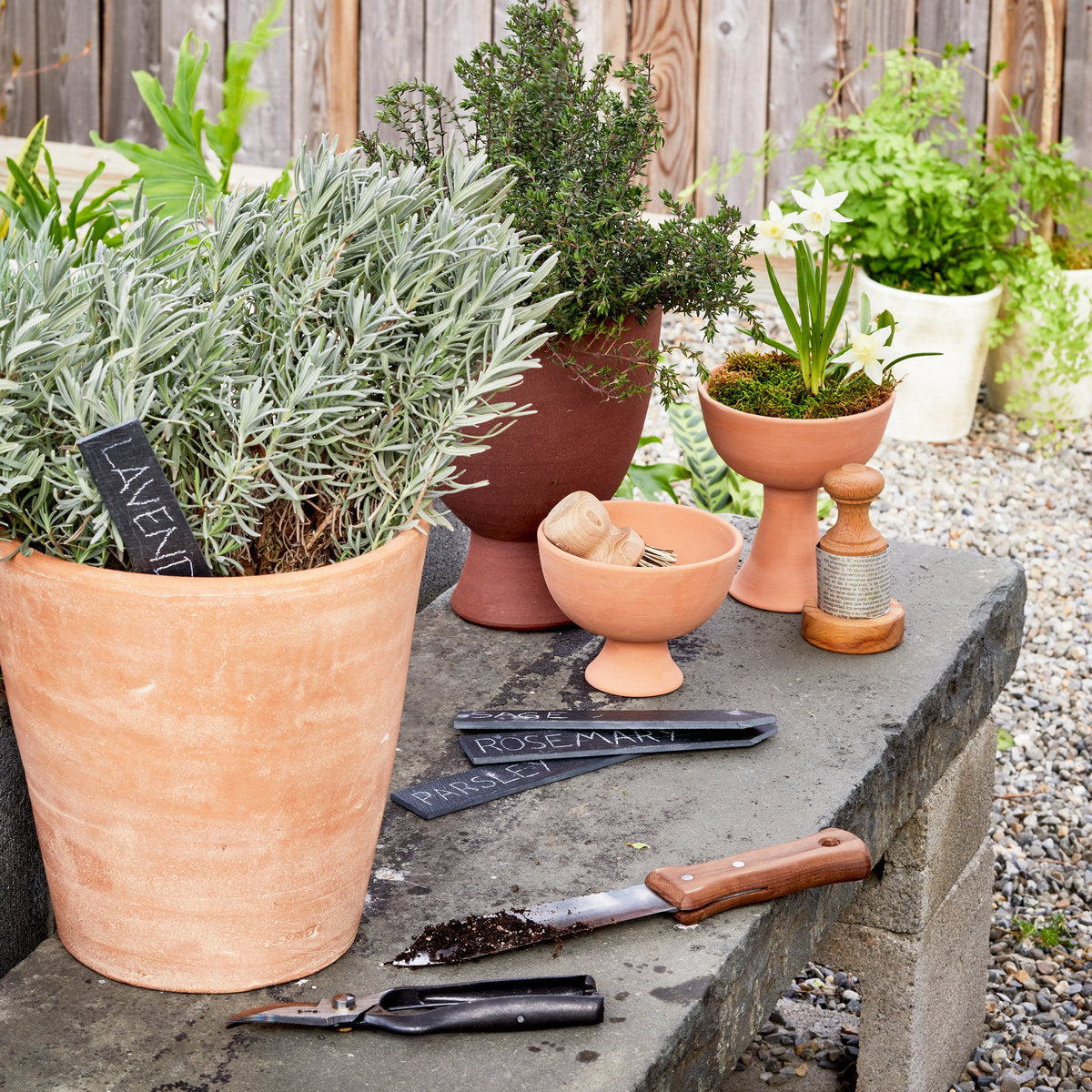 Whitewash Terracotta Studio Planter