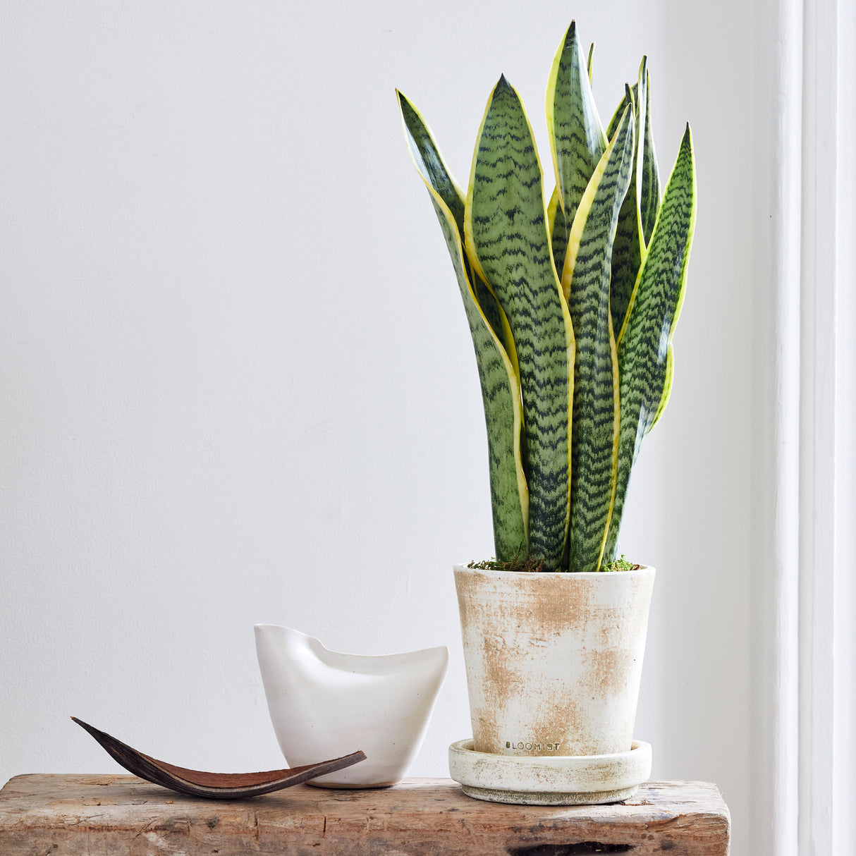 Bird Vase, White