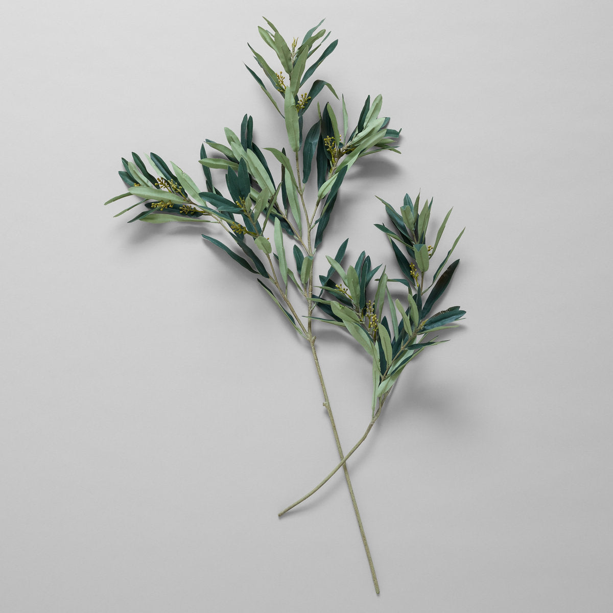 EcoFaux Arbequina Olive Spray