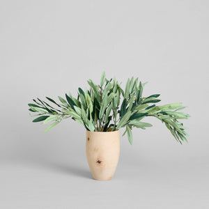 EcoFaux Arbequina Olive Spray