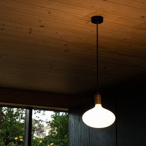 Oval II Pendant Light in Graphite
