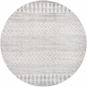 Chinnor Area Rug - Promo