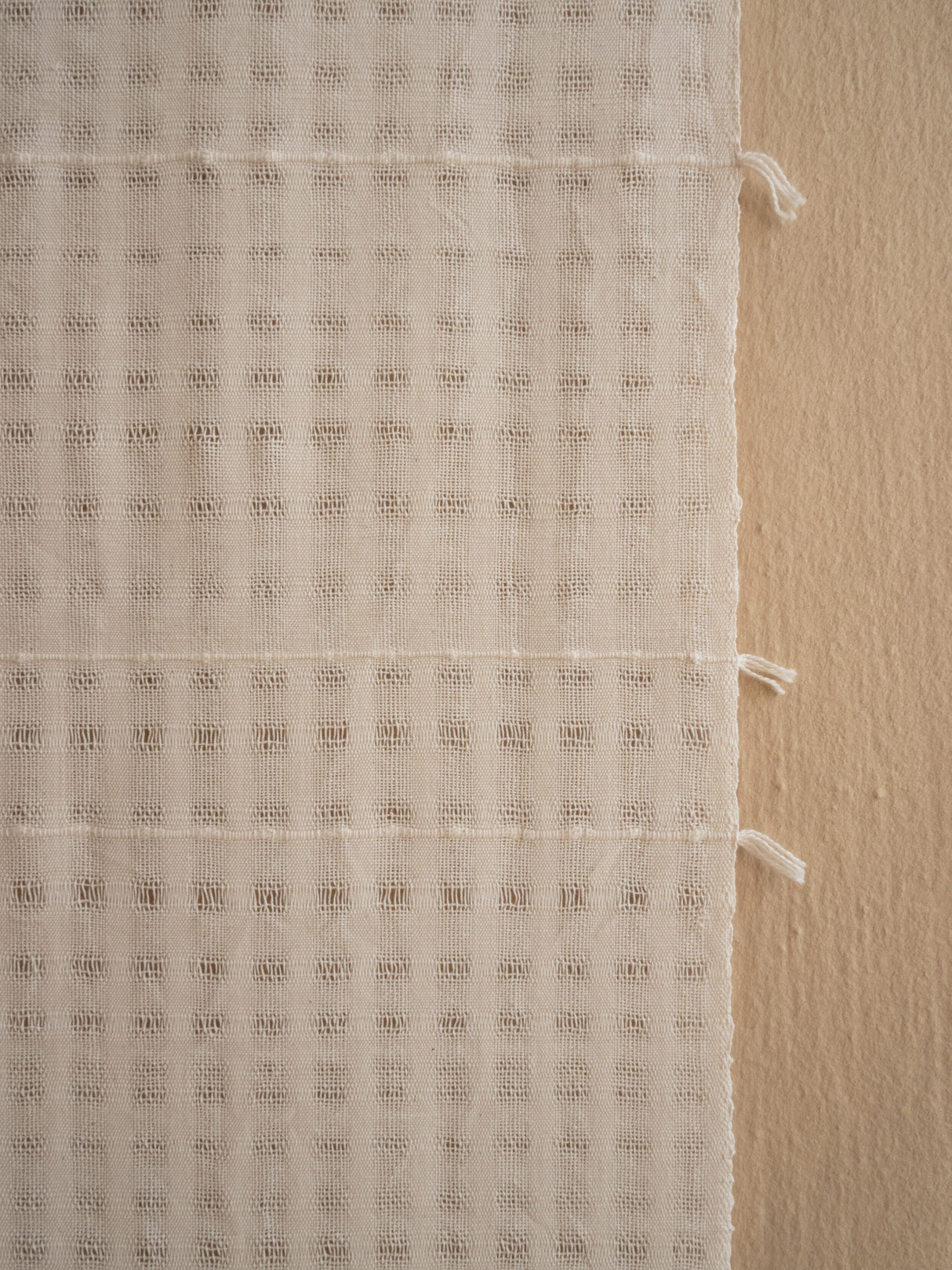 Chiaro Handwoven Cotton Wall Hanging