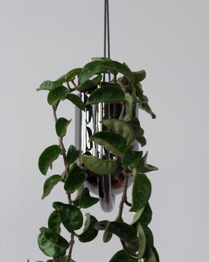 Portico Planter