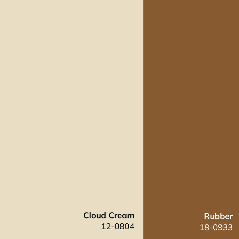 Architect Modern Dark Brown/Ivory Area Rug - Galey Alix Livabliss