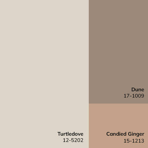 Maria Elena Traditional Ivory/Medium Brown Area Rug - Galey Alix Livabliss