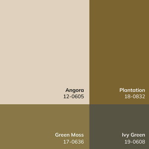 Fetscher Traditional Light Beige/Light Brown Area Rug - Galey Alix Livabliss