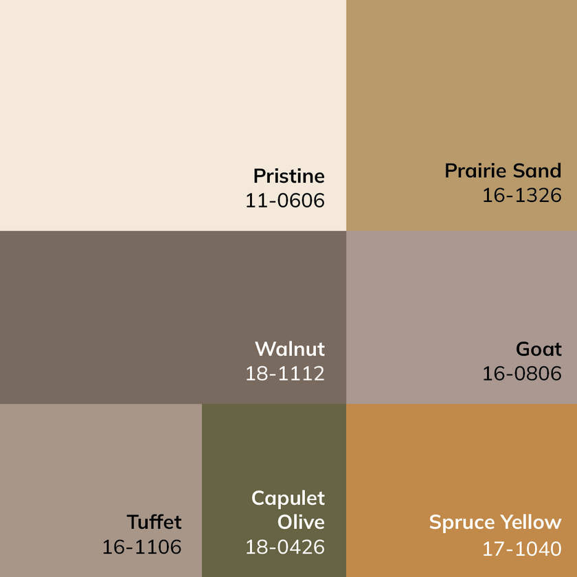 Myrtle Avenue Traditional Taupe/Cream Area Rug - Galey Alix Livabliss