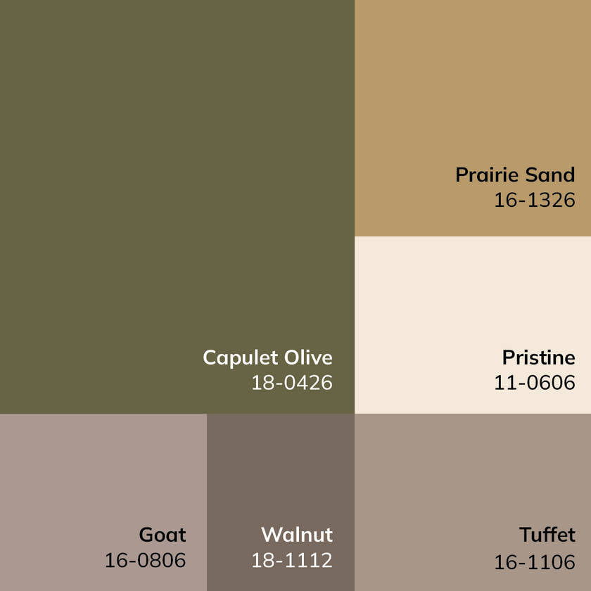 Myrtle Avenue Traditional Olive Area Rug - Galey Alix Livabliss