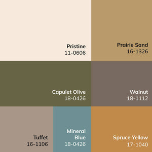 Myrtle Avenue Modern Cream Area Rug - Galey Alix Livabliss