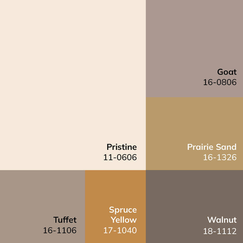 Myrtle Avenue Modern Cream/Dark Brown Area Rug - Galey Alix Livabliss