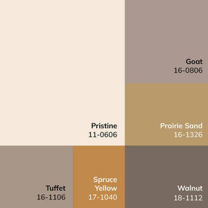 Myrtle Avenue Modern Cream/Dark Brown Area Rug - Galey Alix Livabliss