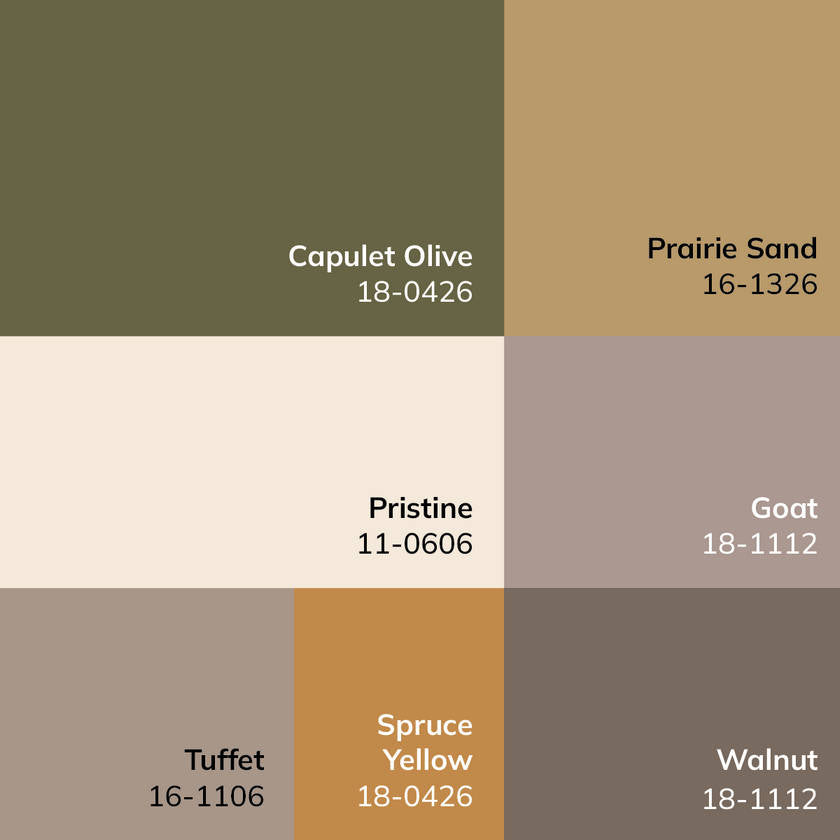 Myrtle Avenue Traditional Olive/Medium Brown Area Rug - Galey Alix Livabliss