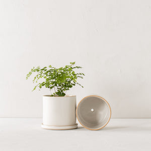 6" Minimal Planter | Stoneware