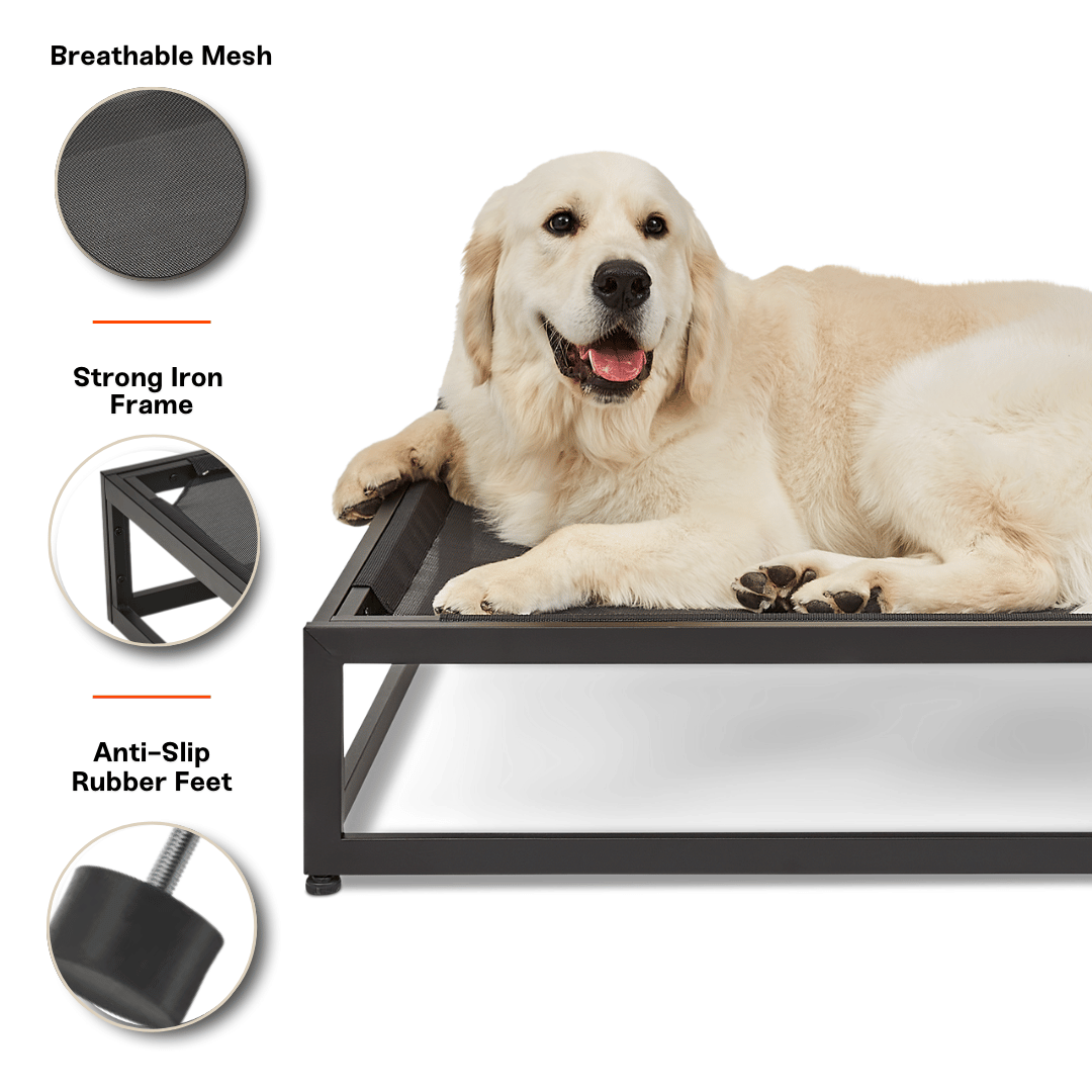 The Up Pup Raised Dog Bed