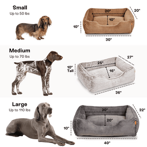 The Sammy Dog  Bed