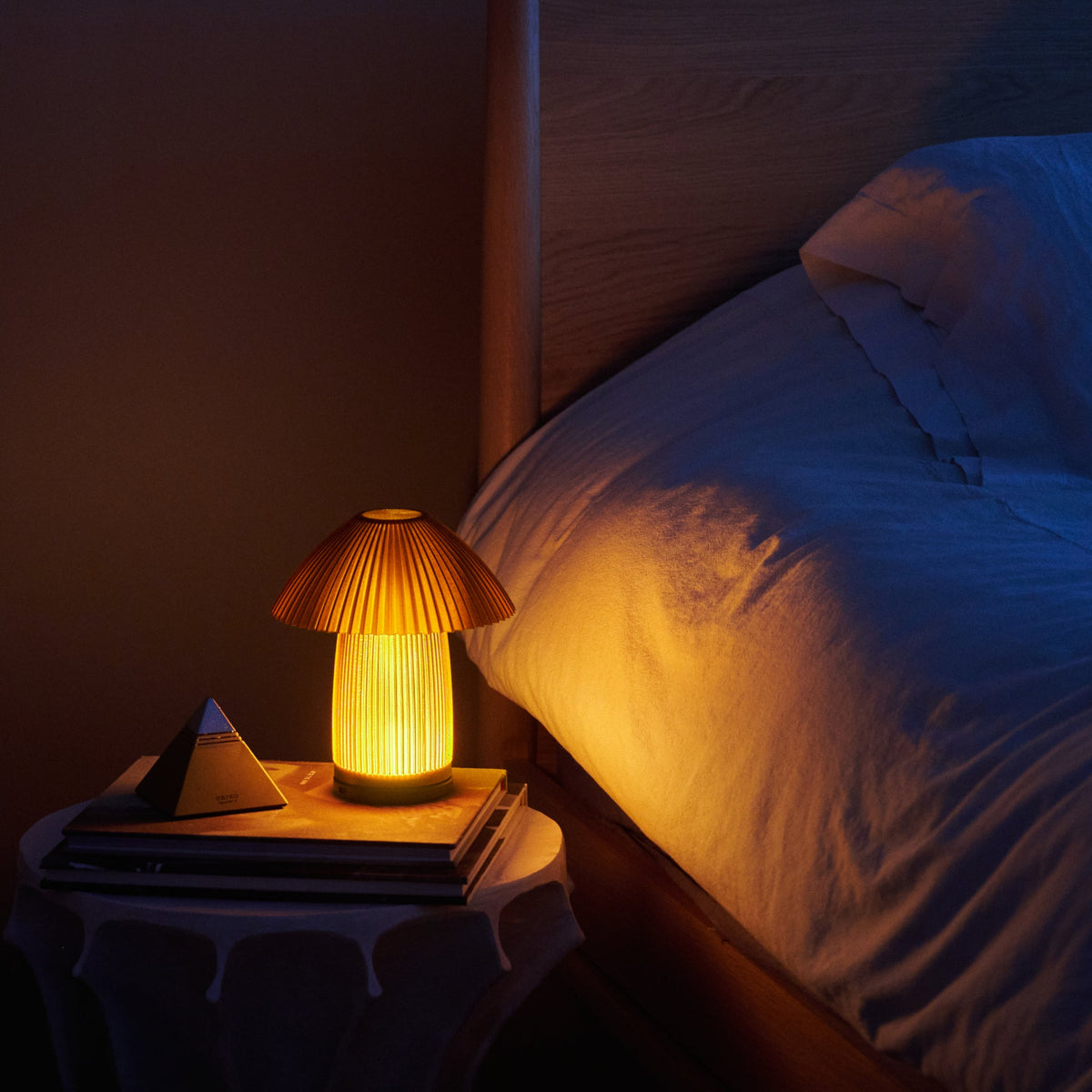 Cordless Kinoko Lamp
