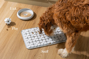 LAY LO Enrichment Lick Mat & Food Bowl