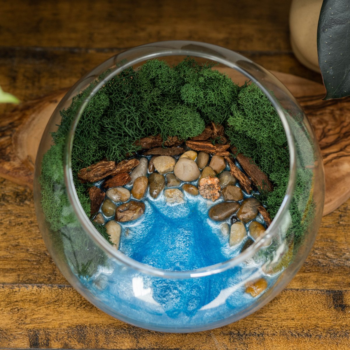 plant terrarium kits Resin Terrarium Kit
