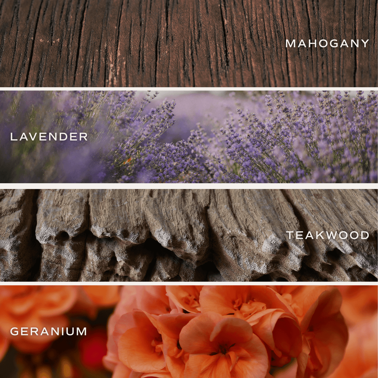 Driftwood and Mahogany Soy Candle - White Jar - 11 oz